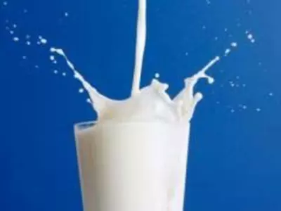 Замінники молока