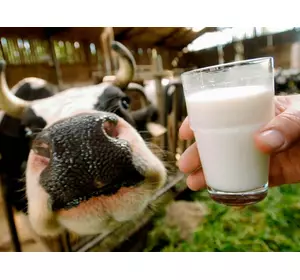Замінник Незбираного Молока Телятко.JUNIOR+(з 25-30 дня 50% молочної основи) (мішок 25кг)