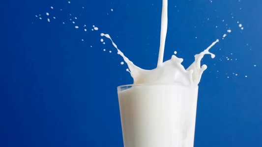 Замінники Знежиреного Молока (для поросят та виробництва комбікормів)