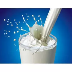 Замінник Незбираного Молока Телятко.JUNIOR (з 30-40 дня на рослинній основі, до 30% молочної основи) (мішок 25кг)