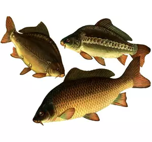 Премікс ШенМікс Фіш 2% промислова риба (мішок 25кг)