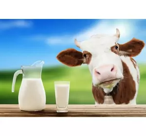 Замінник Незбираного Молока Дейрі.Кальф (з 5-10 дня 80% молочної основи) (мішок 25кг)